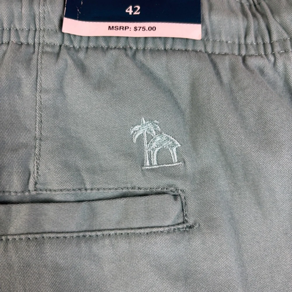 Caribbean Joe Mens Shorts Size 42 Seafoam Green Cotton Stretch Drawstring Casual